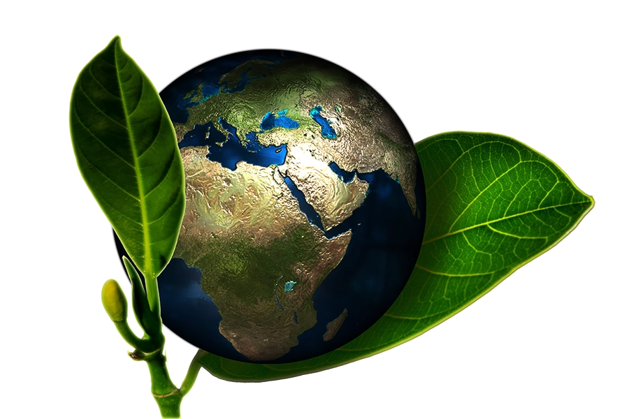 ecologie